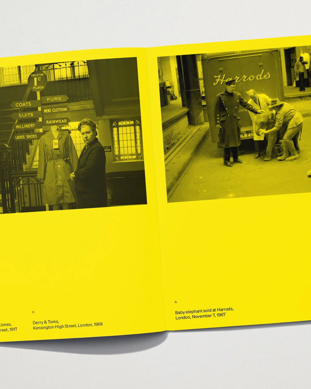 To Have & To Hold: #4 Department Stores - Image 2